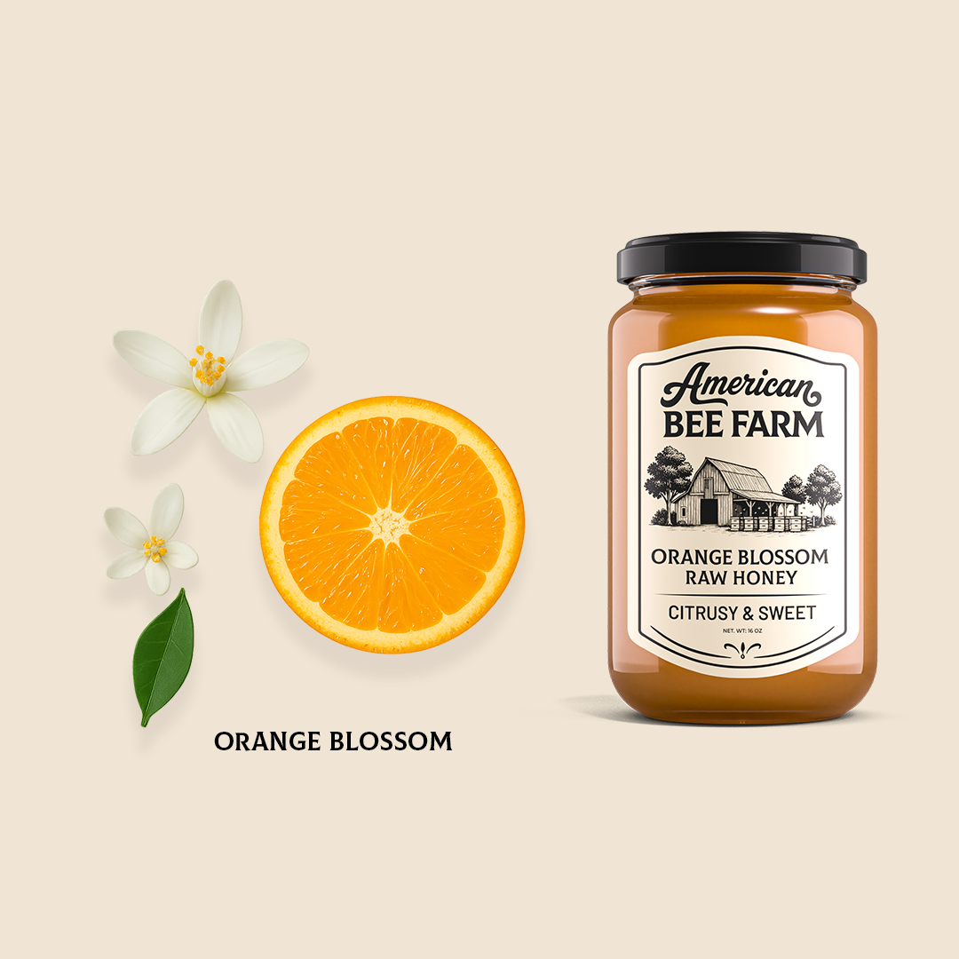 Orange Blossom Honey